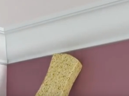 ������� �� �����������