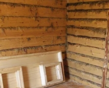 Дома из бруса или бревен Дома из бруса или бревен