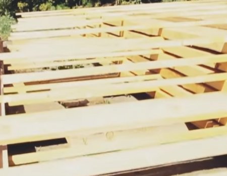 ���� �� ����� ��� ������