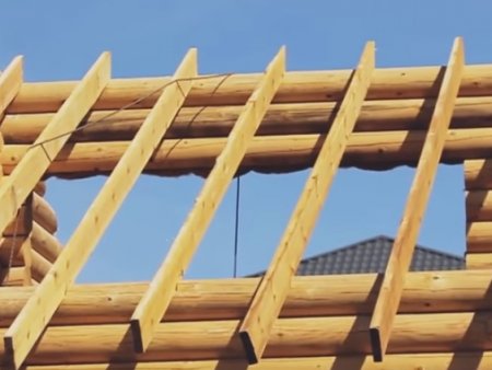 ���� �� ����� ��� ������