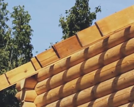 ���� �� ����� ��� ������