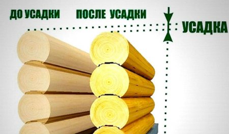 ���� �� ����� ��� ������