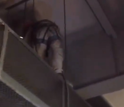 �������������� ������������ ������