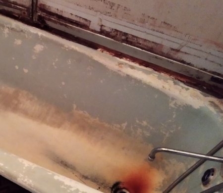 ������������ ������ ����� ������ ������: ��������� ����������