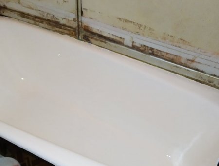 ������������ ������ ����� ������ ������: ��������� ����������