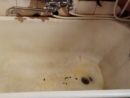 ������������ ������ ����� ������ ������: ��������� ����������