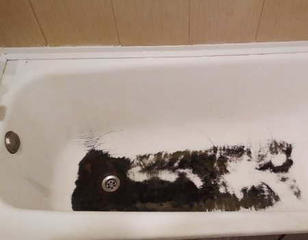 ������������ ������ ����� ������ ������: ��������� ����������