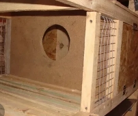 ������ ��� �������� � ����������