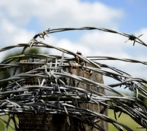 ��� ����������� ������� ���������?