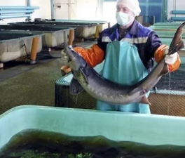 ������������ � �������� ������ ������