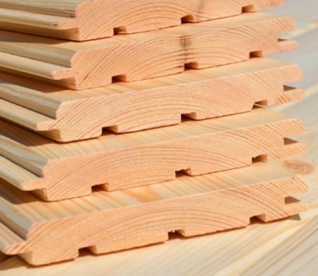 ������������ �������� �����