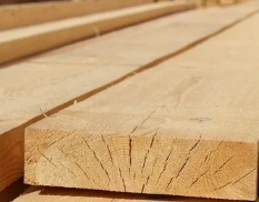 ��� ����������� ����� �������� - ������ ������� ������������� � ������������� � �������