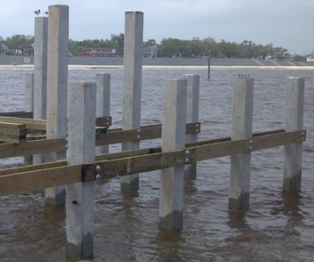 ������������� ������������� �� ����