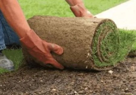 ����������� ����� � ����������� �������� �������� ��������� ������ ��� ������������ ��������